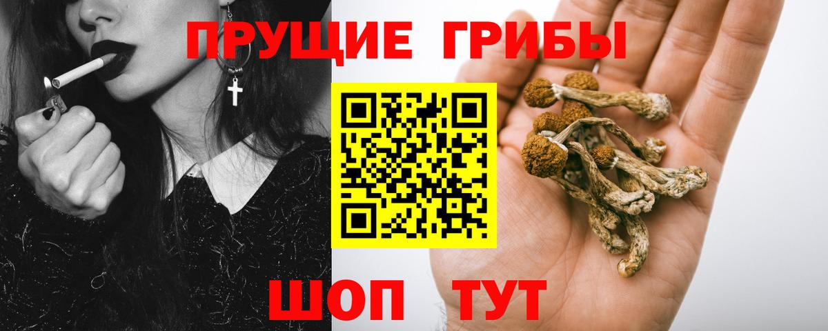 Галлюциногенные грибы ЛСД Котельники