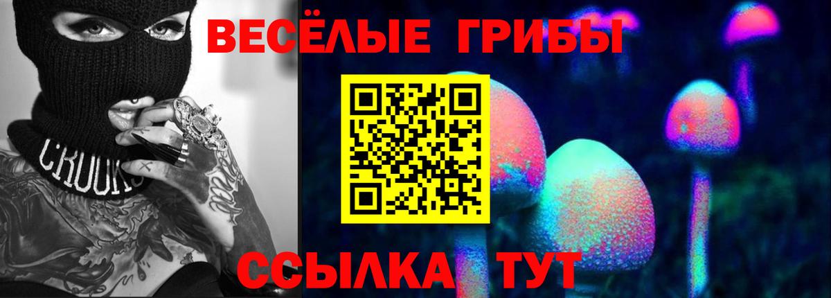 Котельники  Псилоцибиновые грибы Psilocybe  Вход с VPN 